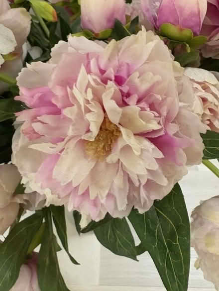 Photo of free Large artificial peonies in a glass vase (Roehampton SW15) #3