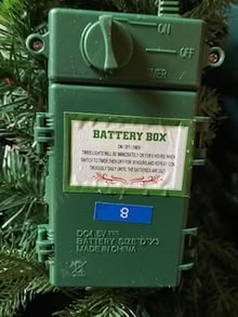 Photo of free Holiday wreath and garlands (Chevy Chase DC) #3