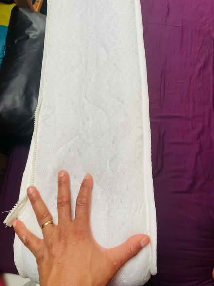 Photo of free Single mattress (SE279) #4