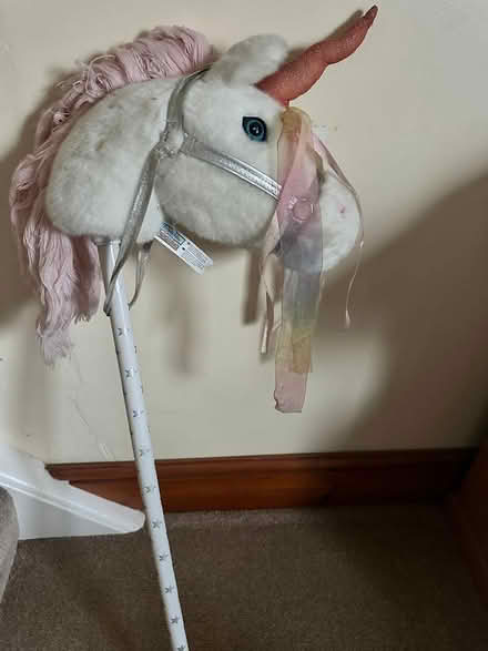 Photo of free uicorn hobby horse (old harlow) #1