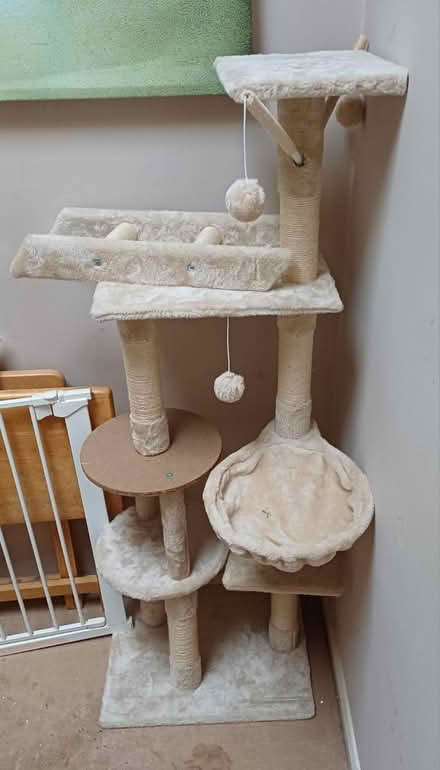 Photo of free Cat tree (Bath BA2) #1