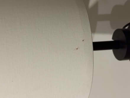 Photo of free Short ikea table lamp (Hackbridge SM5) #2