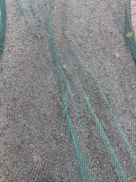 Photo of free Garden netting (Lytham St Anne’s, FY8) #2