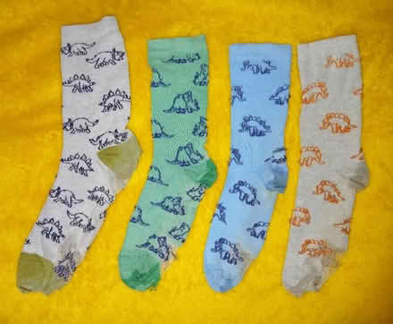 Photo of check: M&S Dinosaur Socks (Dublin South) #1