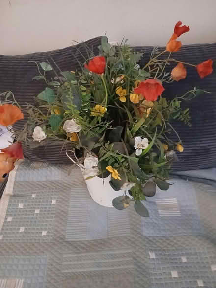 Photo of free Spring flowers (RH1 Redhill) #1