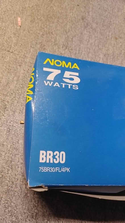 Photo of free indoor flood/pot lamp (kemp park) #1