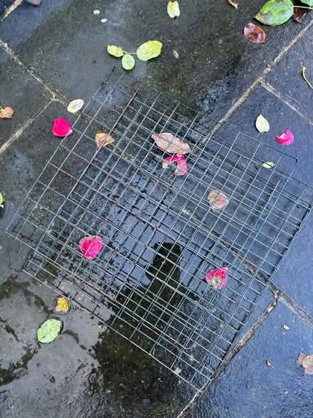 Photo of free Grow house (Sevenoaks) #3