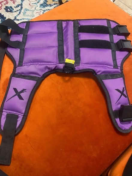Photo of free Weighted dog vest (Kenilworth) #1