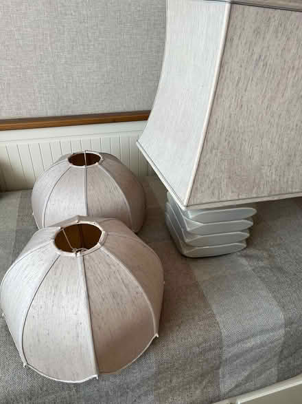 Photo of free Lamp and ceiling shades (Shirley, Croydon) #1