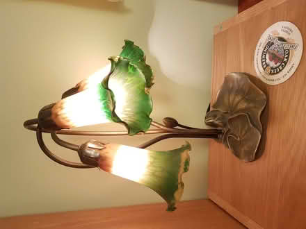 Photo of free Table lamp Lily sculpture with 3 lites (North Hinksey OX2) #2