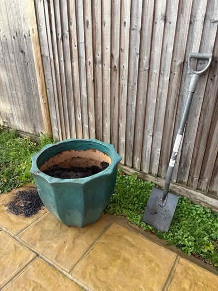 Photo of free Green garden plant pot (Buggs Bottom RG4) #2