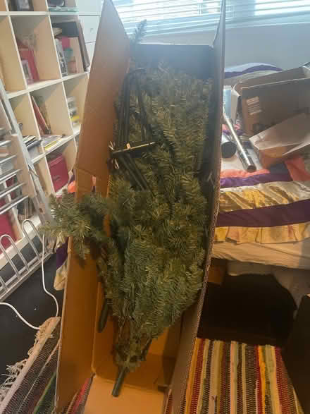 Photo of free Christmas Tree (Strawberry Hill, TWICKENHAM) #1