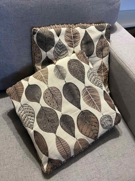 Photo of free 2 x Sofa Cushions (Pallet Hill CA11) #1