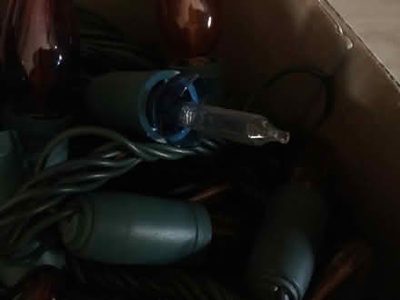 Photo of free Christmas lights (Walderslade Bottom ME5) #3