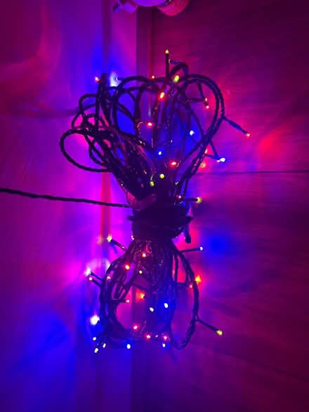 Photo of free Fairy lights, excellent condition (Gamlingay SG19) #1