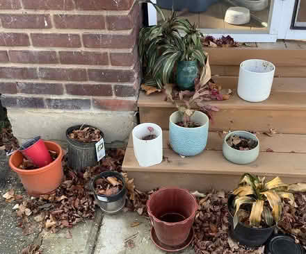 Photo of free Houseplant pots (Brightwood, Washington D) #1