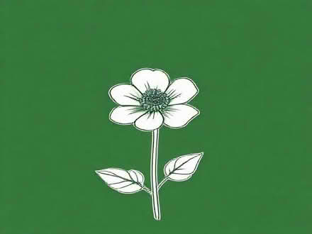 Photo of free The Ordinary Rose Hip Seed oil (Cheltenham GL53) #1