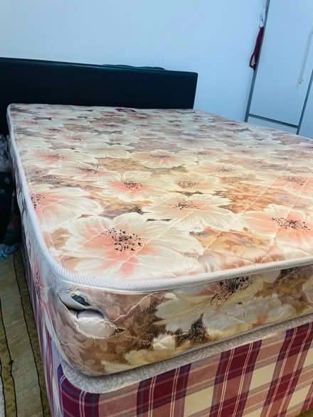 Photo of free Orthopaedic double mattress (SE279) #3