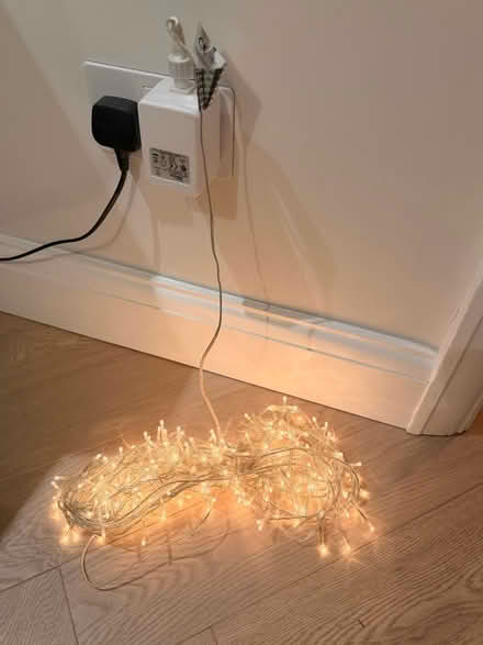 Photo of free String lights (Grove Park, Chiswick, W4) #1