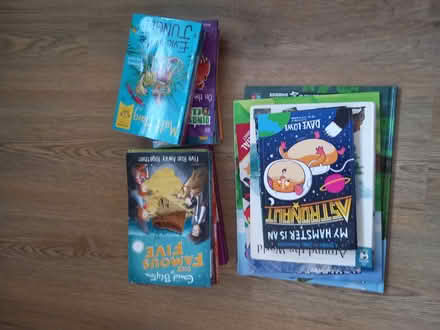 Photo of free Kids books- big bundle (Wivenhoe CO7) #1