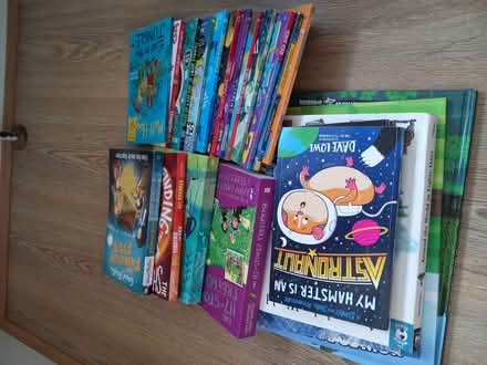 Photo of free Kids books- big bundle (Wivenhoe CO7) #2