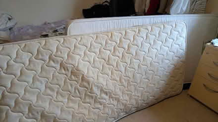 Photo of free Single mattress (Welwyn Garden City AL8) #4