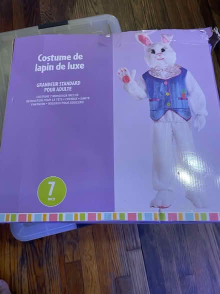 Photo of free Rabbit costume (Midtown West) #2