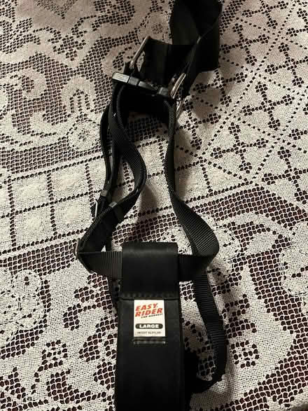 Photo of free Dog Harnesses et (DownersGrove,Fairview & 59th) #2