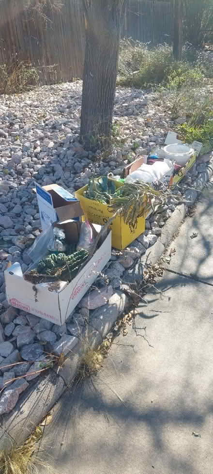 Photo of free Misc stuff, sidewalk alert (North campus) #1