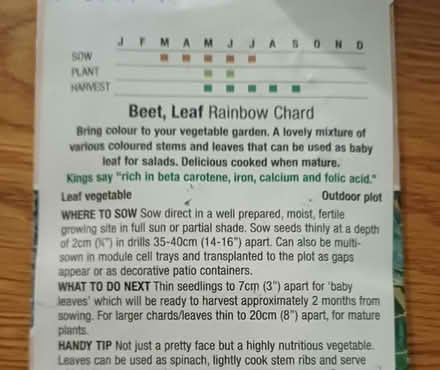 Photo of free Rainbow Chard seeds (Chichester PO19) #2
