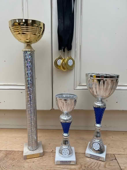 Photo of free Trophies & medals (Harrogate HG2) #1
