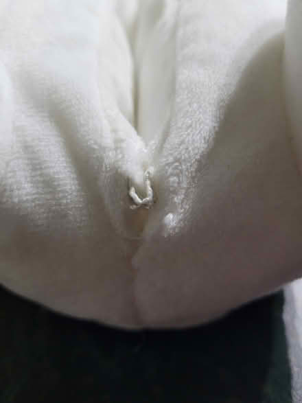 Photo of free Polar Bear Slippers - Size 38/39 - UK Size 5-6 (Purbrook PO7) #4