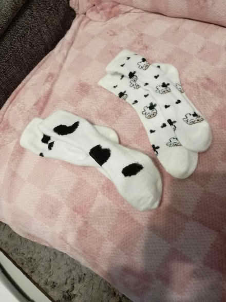 Photo of free Have beread bin (Maidenhead SL6) #2