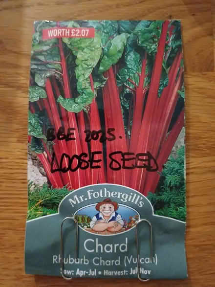 Photo of free Rhubarb Chard (Chichester PO19) #1