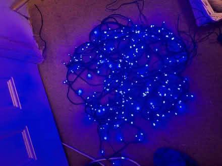 Photo of free Christmas lights no transformer (Hale End E4) #1