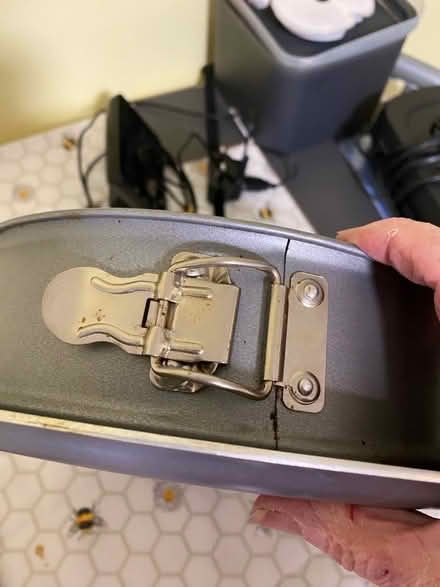 Photo of free Baking tin and wooden rolling pin (Southborough TN4) #2