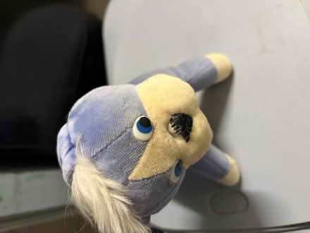 Photo of free Cuddly toy dog (Westbury BA13) #1