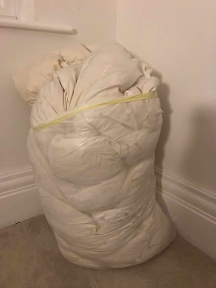 Photo of free King size feather duvet for pets? (Carter Knowle S7) #1