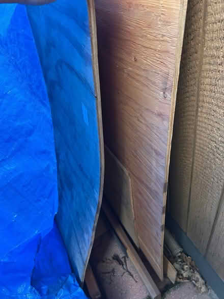 Photo of free Plywood (Carmichael) #4