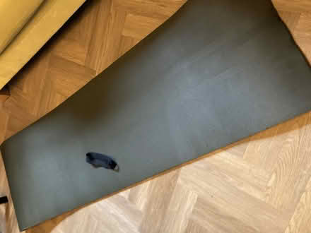 Photo of free Basic foam exercise mat (Tilley SY4) #1
