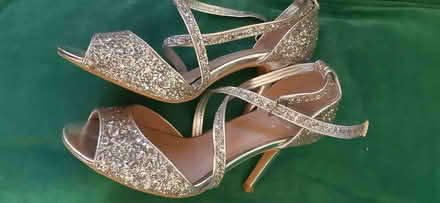 Photo of free Silver party shoes & body shaper (Aldingbourne PO20) #1