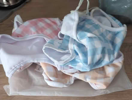 Photo of free Dog nappies (medium) (Splott CF24) #4
