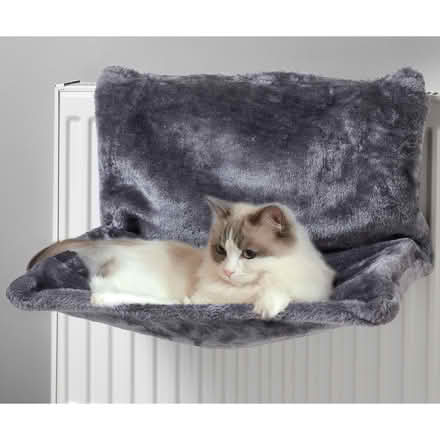 Photo of free Cat radiator bed (Stretford M32) #1