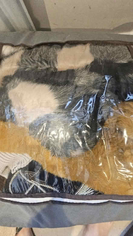 Photo of free Bag of clothes 12- 18 (Ham, Richmond) #1