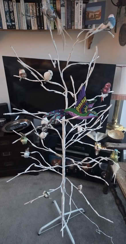 Photo of free 5ft twig tree (Frimley) #1
