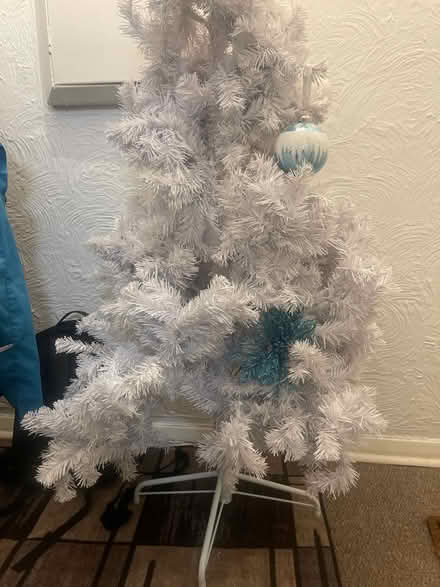 Photo of free Christmas tree (South Ockendon) #1