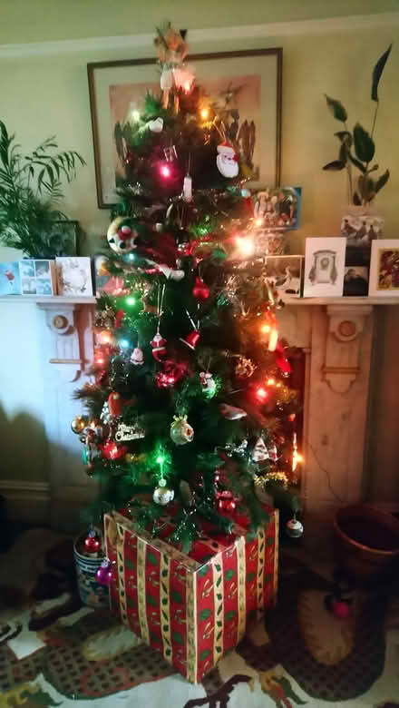 Photo of free 4ft artificial Christmas tree (Wellingborough NN8 5) #1