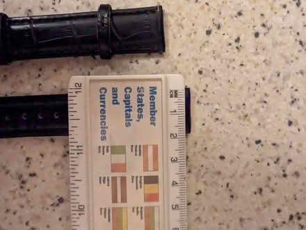 Photo of free Leather watch strap 20mm with spring bars (Belle Vue WF1) #2