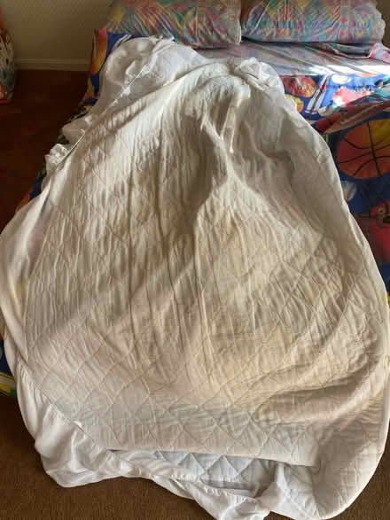 Photo of free Twin bed mattress cover (Rockville, MD) #1