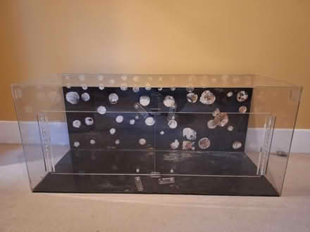 Photo of free Vivarium (St Albans) #1